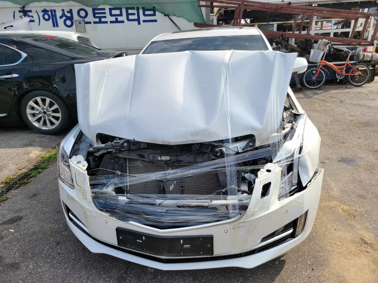 이미지